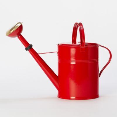 Cherry Blossom Watering Can