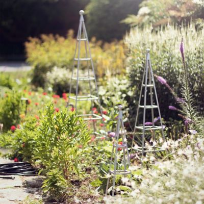 Garden Tuteur Terrain