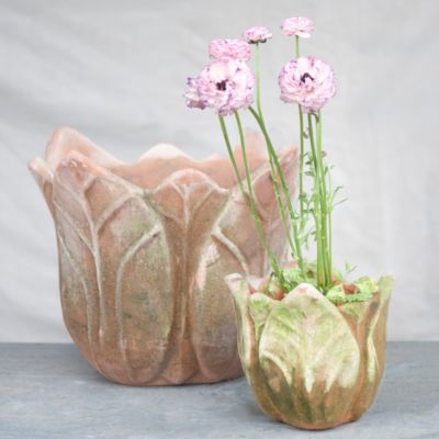 Mossy Tulip Pots