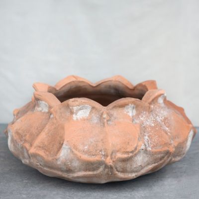 Anemone Bowl