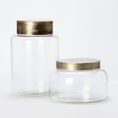 Tin Cap Terrarium