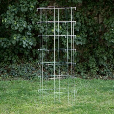Square Tomato Cage, Large Terrain