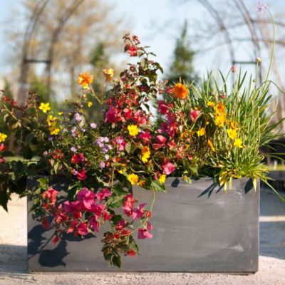 Classic Fiberclay Trough, Low
