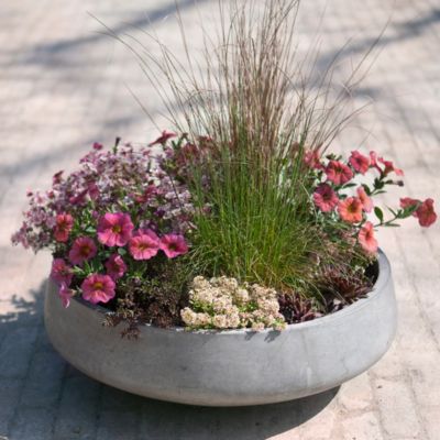 Straight Side Bowl Planter