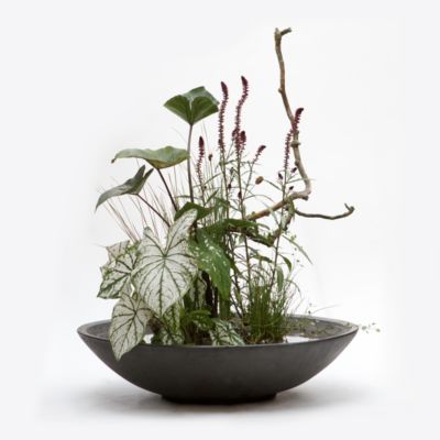 Obsidian Bowl Planter
