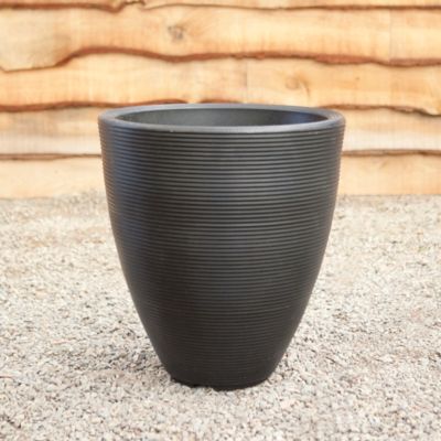 Ridged Egg Pot