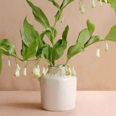 Frances Palmer Jug Vase