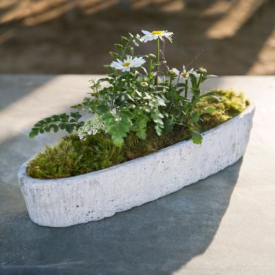 Oak Bulb Planter