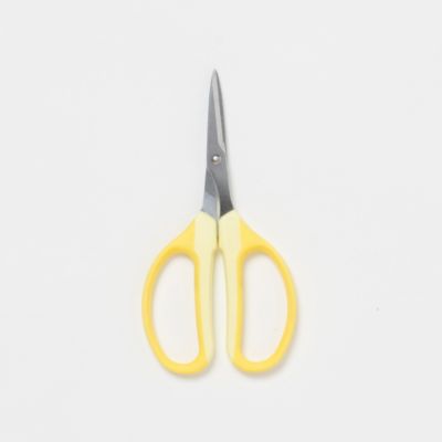Garden Scissors
