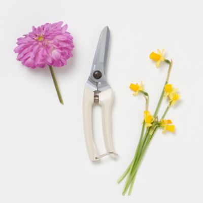 Long Blade Shears