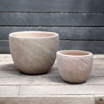 Etched Egg Pot