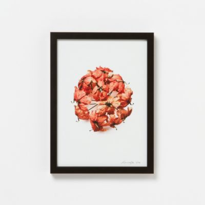 Francis Ooi Botanical Print, Bauhinia kockiana