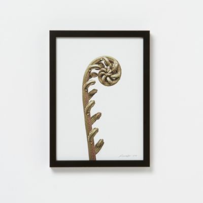 Francis Ooi Botanical Print, Cyathea latebrosa