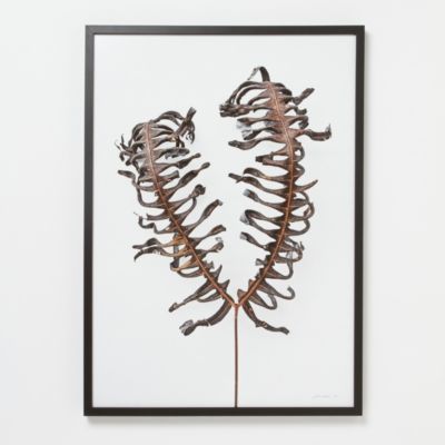 Francis Ooi Botanical Print, Dicranopteris linearis