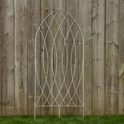 Gothic Trellis