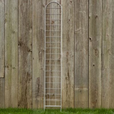 Windowpane Trellis