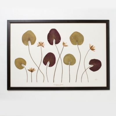 Becky Davis Water Lilies, Large