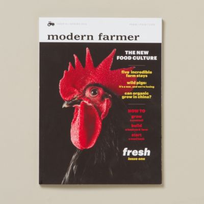 Modern Farmer, Issue 1