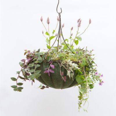 Chandelier Hanging Basket