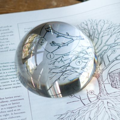 Convex Magnifying Glass Terrain