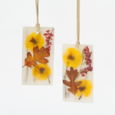 Pressed Flower Sachets, Black Vetiver & Oak Terrain