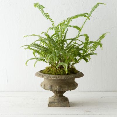 Aged Iron Rounded Urn