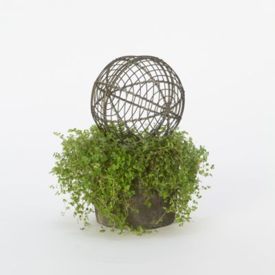 Wire Garden Sphere, Small Terrain