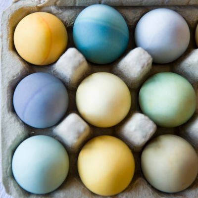 Natural Egg Dyeing Kit Terrain