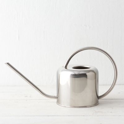Stainless Watering Can, Small Terrain