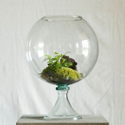Footed Fishbowl Terrarium Terrain