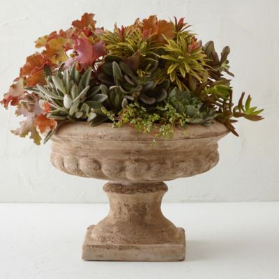 Terracotta Urn Planter