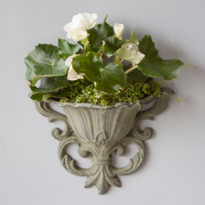 Verdigris Iron Wall Planter