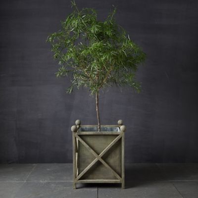 Iron Cross Frame Planter
