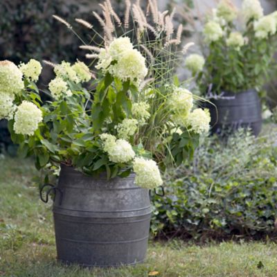 Galvanized Barrel Planter