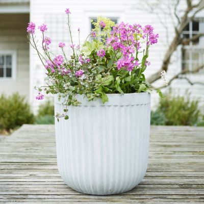 Fiber Concrete Barrel Pot