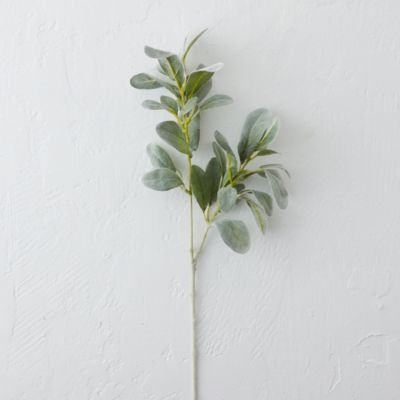 - A Touch Of Nature: Faux Lamb's Ear