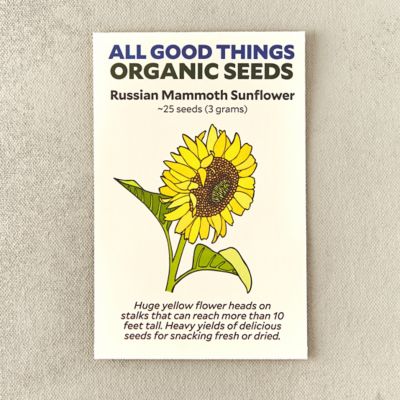 Organic Russian Mammoth Sunflower Seeds Terrain