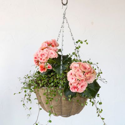 Hanging Basket Planter + WaterSaving Natural Liner, 12" Terrain