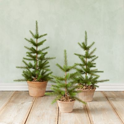 Zenith Elegance: Majestic Faux Pine Trees For Unparalleled Ambiance