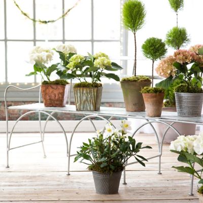 Galvanized Arches Bench
