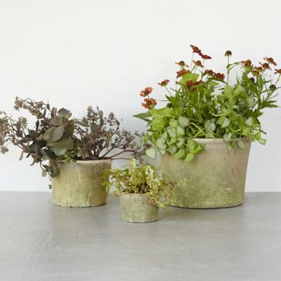 Earth Fired Clay Low Sill Pot