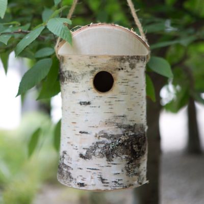 Hewn Birch Birdhouse, Small Terrain