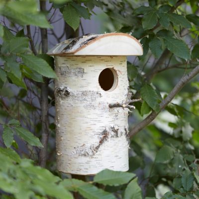 Hewn Birch Birdhouse, Large Terrain