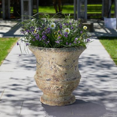 Barnacle Thistle Urn
