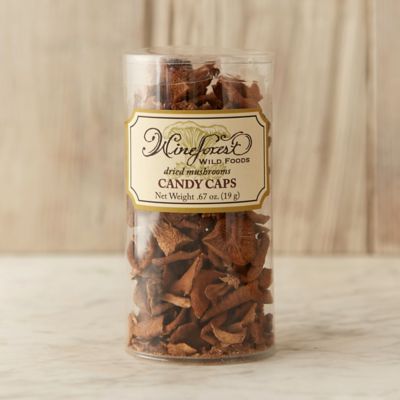 Dried Candy Cap Mushrooms Terrain