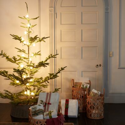 Beautiful table top Noble Fir Christmas Tree