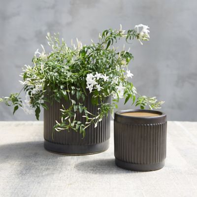 Clay Stripe Cylinder Pot
