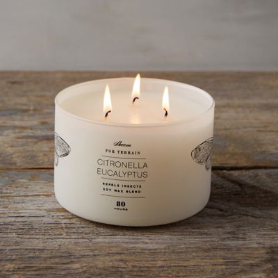 Eucalyptus Citronella Candle Terrain