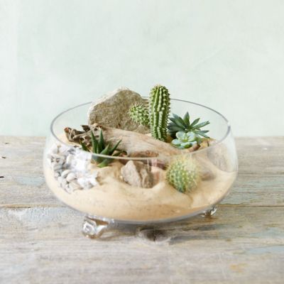 Terrarium & Succulent Bowl Terrain