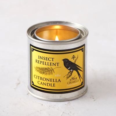 Citronella Travel Candle Terrain